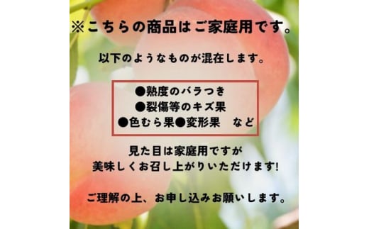 ＜先行予約＞もも 幸茜 家庭用 5kg(12~20個)＜2024年9月上旬頃より配送予定＞【1495837】