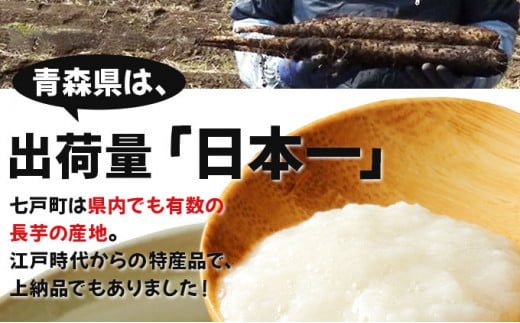 七戸産 長芋 10kg 【山芋 ながいも とろろ 白米 ご飯のお供 粘り ヘルシー あっさり 新鮮 野菜 青森県 七戸町 常温 贈り物 お中元 ギフト】【02402-0055】