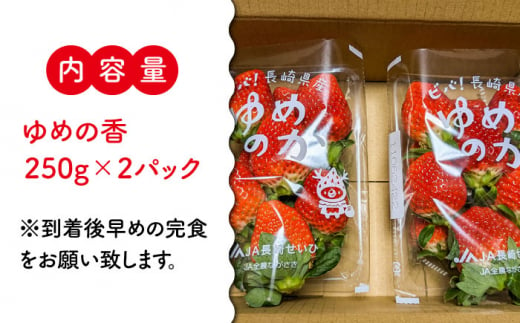 【12月24日お届け クリスマス用】いちご ゆめの香 500g（250g×2パック）長崎県/わたる農園 [42AABB005]