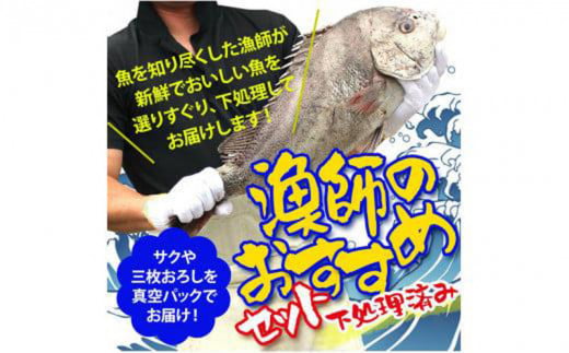 （５ヶ月定期便）山口県 漁師 厳選 鮮魚 詰め合わせ サクセット（下処理済）【山口県 宇部市 魚 漁師 新鮮 おいしい 魚 選りすぐり 下処理 サク 三枚おろし 真空バック 煮魚  魚介類 海の幸 調理 刺身 鍋 揚げ物 焼き おかず おたのしみ 】