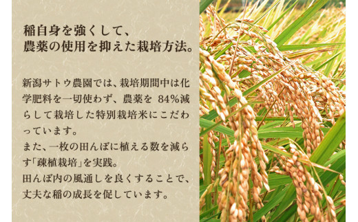 【令和6年産新米先行予約】【定期便5ヶ月毎月お届け】化学肥料未使用の従来コシヒカリ【里の蔵5kg】特別栽培 有機肥料で育った厳選米 加茂市 新潟サトウ農園