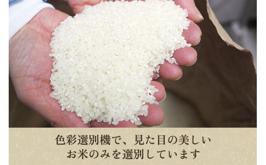 【令和6年産新米先行予約】【定期便5ヶ月毎月お届け】化学肥料未使用の従来コシヒカリ【里の蔵5kg】特別栽培 有機肥料で育った厳選米 加茂市 新潟サトウ農園