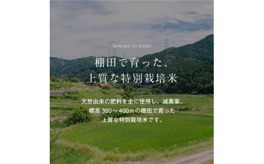 【優栽】【新米】【令和6年産】（白米 ※精米済 20kg）優栽：特別栽培米