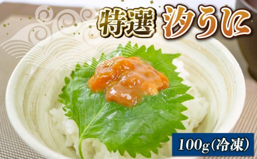 汐うに 100g 特選 岩手県産ウニ 三陸産ウニ ウニ丼 魚介 海産物 ウニ 海の幸 うに丼 刺身 ウニ 惣菜 加工品 ウニ ご飯のお供 ウニ 国産 岩手県産 1万円 10000円