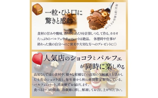 土佐のショコラ缶（ボンボンショコラ）とパルフェのセット 　ポワリエショコラ チョコレート プラリネ フルーツ パフェ スイーツ 高知の果物 野菜 ハーブ メロン いちご ナッツ 八朔