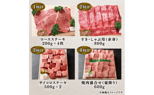 定期便 近江牛 特選 全12回 近江牛食べつくしコース ( 定期便 肉 黒毛和牛 牛肉 肉 すき焼き しゃぶしゃぶ 焼肉 ギフト 自宅用 高級 国産 ふるさと納税 ブランド牛 三大和牛 和牛 贈り物 内祝い 神戸牛 松阪牛 に並ぶ 日本三大和牛 滋賀県 竜王町 澤井牧場 送料無料 )