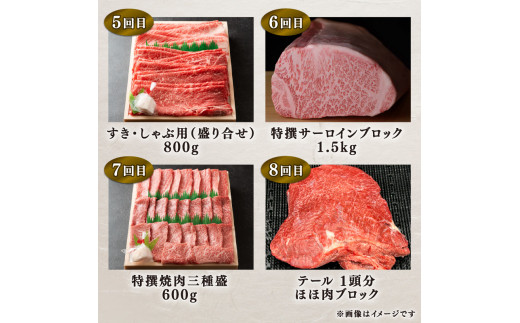 定期便 近江牛 特選 全12回 近江牛食べつくしコース ( 定期便 肉 黒毛和牛 牛肉 肉 すき焼き しゃぶしゃぶ 焼肉 ギフト 自宅用 高級 国産 ふるさと納税 ブランド牛 三大和牛 和牛 贈り物 内祝い 神戸牛 松阪牛 に並ぶ 日本三大和牛 滋賀県 竜王町 澤井牧場 送料無料 )