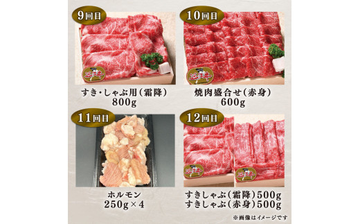 定期便 近江牛 特選 全12回 近江牛食べつくしコース ( 定期便 肉 黒毛和牛 牛肉 肉 すき焼き しゃぶしゃぶ 焼肉 ギフト 自宅用 高級 国産 ふるさと納税 ブランド牛 三大和牛 和牛 贈り物 内祝い 神戸牛 松阪牛 に並ぶ 日本三大和牛 滋賀県 竜王町 澤井牧場 送料無料 )