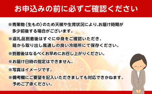 和歌山県産 糖度 12.5度以上 訳あり みかん 3kg 3Ｓ～Ｌサイズ混合【MG56】