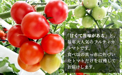 3人に1人がリピーター★2024年9月～10月にお届け★1.2kg！山の湧き水で育った高原トマト「フルティカ」割れ保障付5000円