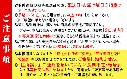 3人に1人がリピーター★2024年9月～10月にお届け★1.2kg！山の湧き水で育った高原トマト「フルティカ」割れ保障付5000円