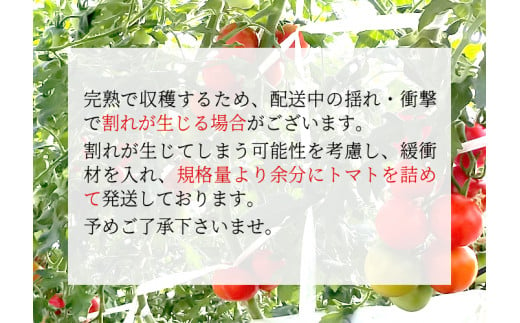 3人に1人がリピーター★2024年9月～10月にお届け★1.2kg！山の湧き水で育った高原トマト「フルティカ」割れ保障付5000円