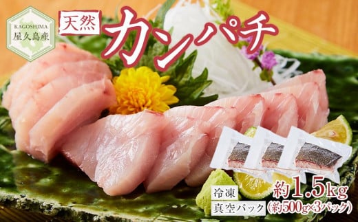 屋久島産 天然カンパチ 約1.5kg（約500g×3） ブロック 冷凍 真空パック