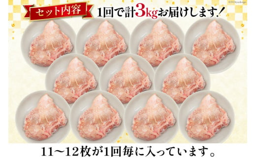 定期便 肉 鶏肉 3回定期便 若鶏もも身11〜12パック 計3kg [九州児湯フーズ 宮崎県 美郷町 31aj0035] 冷凍 小分け 個包装  鶏もも肉 もも肉 モモ肉