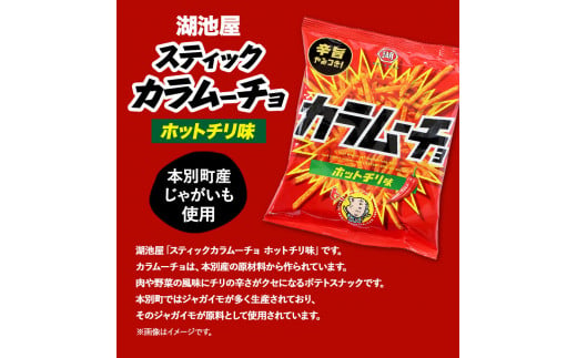 6ヶ月定期便 湖池屋「スティックカラムーチョ」12袋×2箱 計6回お届け 定期便 本別町観光協会 送料無料《お申込み月の翌月から出荷開始》北海道 本別町 ポテト ポテトチップス 菓子 スナック スナック菓子