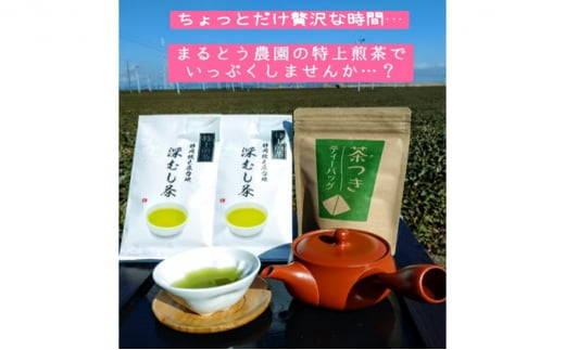 [№5695-1239]ちょっと贅沢♪ 特上深蒸し煎茶リーフと上煎茶ティーバッグ