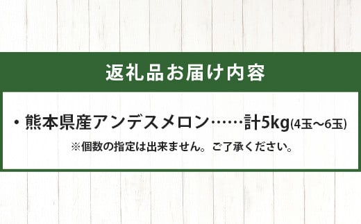 【2025年 4月下旬以降発送分 先行予約】アンデスメロン 4玉～6玉（1箱5kg）熊本県 多良木町産  012-0556-2025