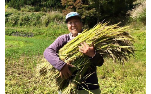 菊いも きく芋 菊芋 新潟県上越産100％ 無添加 栽培期間中無農薬 乾燥きく芋 5袋 35g×5 芋 いも イモ