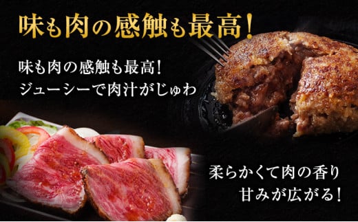 黒毛和牛 ハンバーグ 8個 ＆ 黒毛和牛 ローストビーフ 1本 250g 霜降り A5 使用 肉 牛肉 セット 詰め合わせ 冷凍 和牛 惣菜 おかず