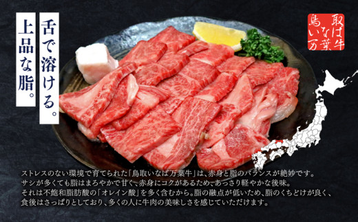 627．鳥取いなば万葉牛　焼肉用カルビセット500g