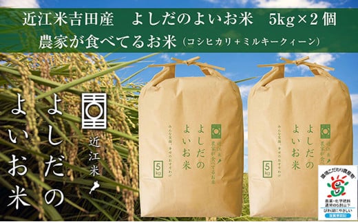 【新米】令和6年産　よしだのよいお米 近江米農家が食べてるお米　5kg×2