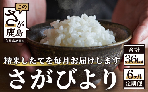 H-14【新鮮米】佐賀県鹿島市産さがびより 白米６kg定期便（６か月お届け）【1等米】