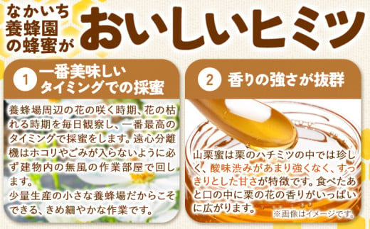 九戸の山栗蜜 天然はちみつ ミニ角瓶 185g なかいち養蜂園《30日以内に出荷予定(土日祝除く)》岩手県 九戸村 はちみつ 蜂蜜 ハチミツ 山栗蜜 非加熱 無添加 送料無料 コーヒー ブルーチーズ カナッペ 国産