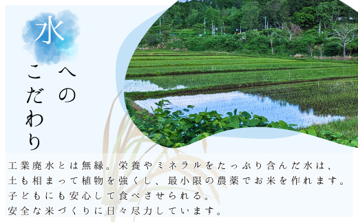 ◇令和6年産 新米◇おたる木露ファーム 余市産 ゆめぴりか(精米・玄米) 合計10kg(5kg×2)[ふるさとクリエイト]