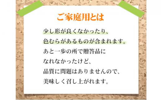 ぶどう 2024年 先行予約 ご家庭用 ニュー ピオーネ 約600g×1房 ブドウ 葡萄  岡山県産 国産 フルーツ 果物