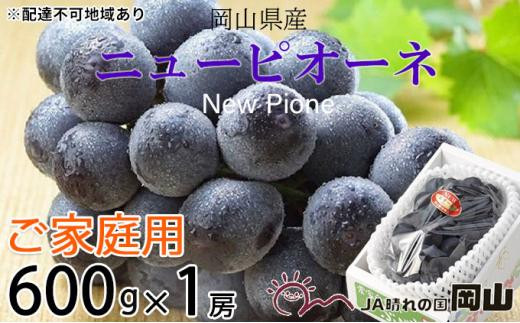 ぶどう 2024年 先行予約 ご家庭用 ニュー ピオーネ 約600g×1房 ブドウ 葡萄  岡山県産 国産 フルーツ 果物