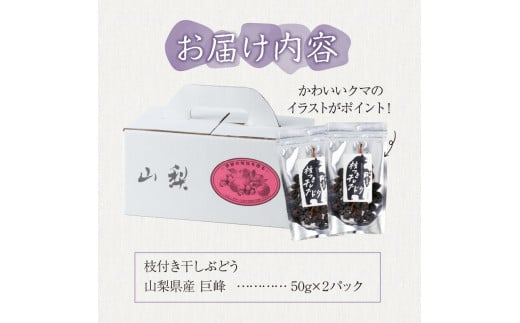 【好評につき完売】山梨県産枝付き干しぶどう（巨峰）2パック