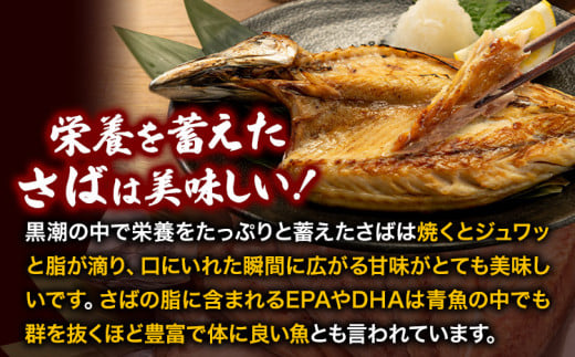 地元産 さば干物 5尾 株式会社はし長 《30日以内に出荷予定(土日祝除く)》 和歌山県 日高川町 さば 鯖 干物 サバ 魚 海鮮 焼き魚