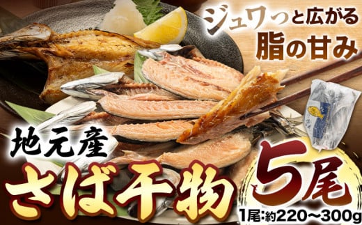 地元産 さば干物 5尾 株式会社はし長 《30日以内に出荷予定(土日祝除く)》 和歌山県 日高川町 さば 鯖 干物 サバ 魚 海鮮 焼き魚