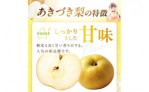 【先行予約／数量限定300】京丹後産 あきづき梨 5kg（8～12玉）（2024年9月中旬～発送）　DE00094