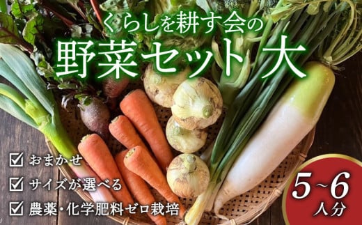 丸山農園の野菜セット 大セット 5~6人用 おまかせ 6～8品目 無農薬 くらしを耕す会 野菜 やさい サラダ 健康 人参 玉ねぎ 大根 野菜 やさい サラダ 健康 人参 玉ねぎ 大根 野菜 やさい サラダ 健康 人参 玉ねぎ 大根 野菜 やさい サラダ 健康 人参 玉ねぎ 大根 野菜 やさい サラダ 健康 人参 玉ねぎ 大根 ふるさと納税野菜 ふるさと納税サラダ 愛知県 南知多町