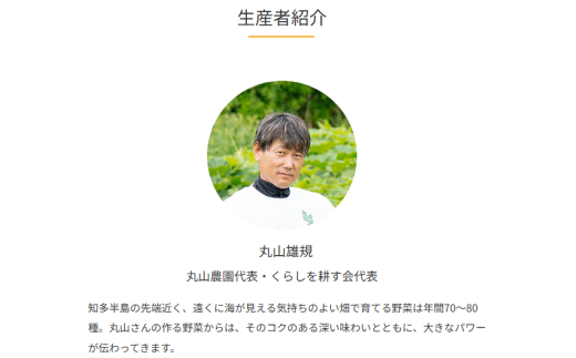 丸山農園の野菜セット 大セット 5~6人用 おまかせ 6～8品目 無農薬 くらしを耕す会 野菜 やさい サラダ 健康 人参 玉ねぎ 大根 野菜 やさい サラダ 健康 人参 玉ねぎ 大根 野菜 やさい サラダ 健康 人参 玉ねぎ 大根 野菜 やさい サラダ 健康 人参 玉ねぎ 大根 野菜 やさい サラダ 健康 人参 玉ねぎ 大根 ふるさと納税野菜 ふるさと納税サラダ 愛知県 南知多町