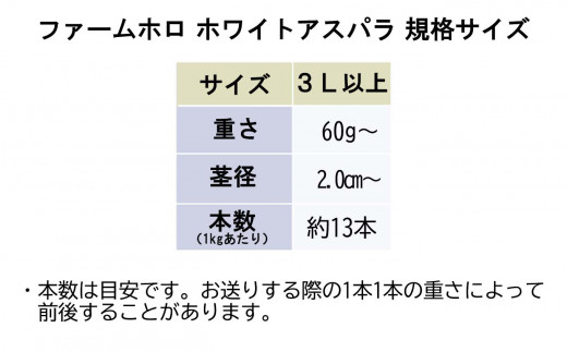 ＜先行予約＞ 北海道産 春採り ホワイト アスパラガス 1kg 3Lサイズ 以上 ＜2023年5月上旬より発送＞ 北海道 ホワイトアスパラ 旬 新鮮