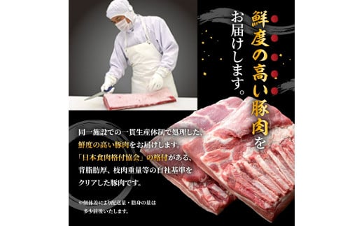 天元豚  豚肉 ブロック肉 ( 豚肩ロース ) 4kg ( 約2kg×2袋 ) 冷蔵 国産 ブランド豚 とんかつ 生姜焼き お取り寄せ グルメ 送料無料 山形県 米沢市