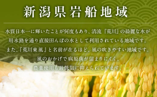 【定期便 6ヶ月】【令和6年産米】新潟県岩船産 新之助 精米6kg（2kg×3個セット）×6ヶ月 1050003