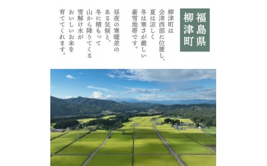 ＜令和6年産＞柳津町産「こしひかり・ゆうだい21」食べ比べ 各5kg〈令和7年3月下旬発送予定〉【1560756】