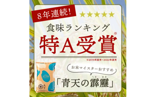 【定期便 12ヶ月】 米 青天の霹靂 10㎏ 青森県産 【特A 8年連続取得】（精米・5kg×2袋）