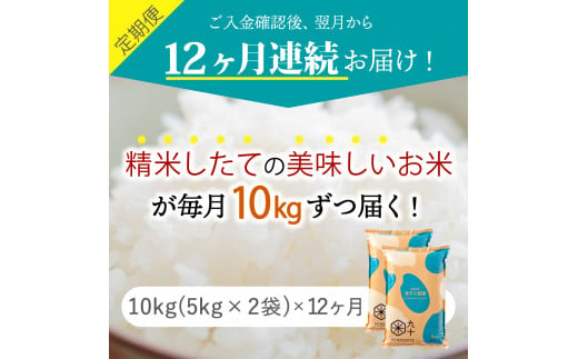 【定期便 12ヶ月】 米 青天の霹靂 10㎏ 青森県産 【特A 8年連続取得】（精米・5kg×2袋）