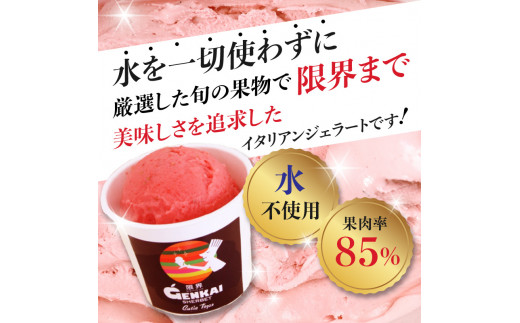 限界シャーベット 6個セット 水不使用 デザート 味 旬 果物 ジェラート アイス フルーツ 果肉 大分 J06018