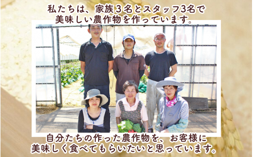 【令和6年産新米】 渡辺農園のお米食べ比べセット（特別栽培米コシヒカリ5kg 新之助5kg） 新潟県 五泉市 渡辺農園