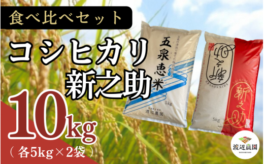 【令和6年産新米】 渡辺農園のお米食べ比べセット（特別栽培米コシヒカリ5kg 新之助5kg） 新潟県 五泉市 渡辺農園