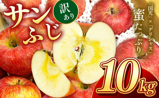 りんご サンふじ 訳あり 10kg |  果物 くだもの フルーツ りんご リンゴ 林檎 サンふじ さんふじ サンフジ 訳あり アップル 信州 特産品 千曲市 長野県