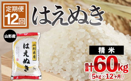 【定期便12回】山形産 はえぬき 5kg×12ヶ月(計60kg)  ブランド米 山形県 山形市 FY24-467