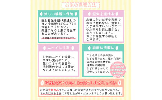 【定期便12回】山形産 はえぬき 5kg×12ヶ月(計60kg)  ブランド米 山形県 山形市 FY24-467