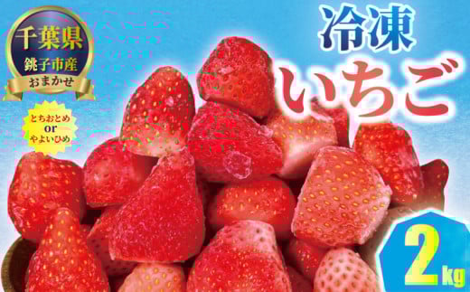 銚子産 冷凍いちご 2kg （ 1kg × 2 ） とちおとめ やよいひめ