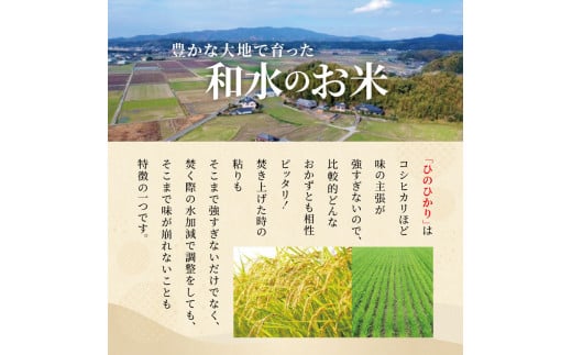 熊本県産「ひのひかり」10kg | 熊本県 和水町 くまもと なごみまち なごみ ヒノヒカリ ひのひかり 白米 米 単一原料米 5kg 2袋